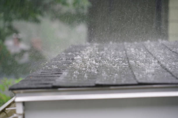 Best Roof Maintenance and Cleaning  in White Plains, NY